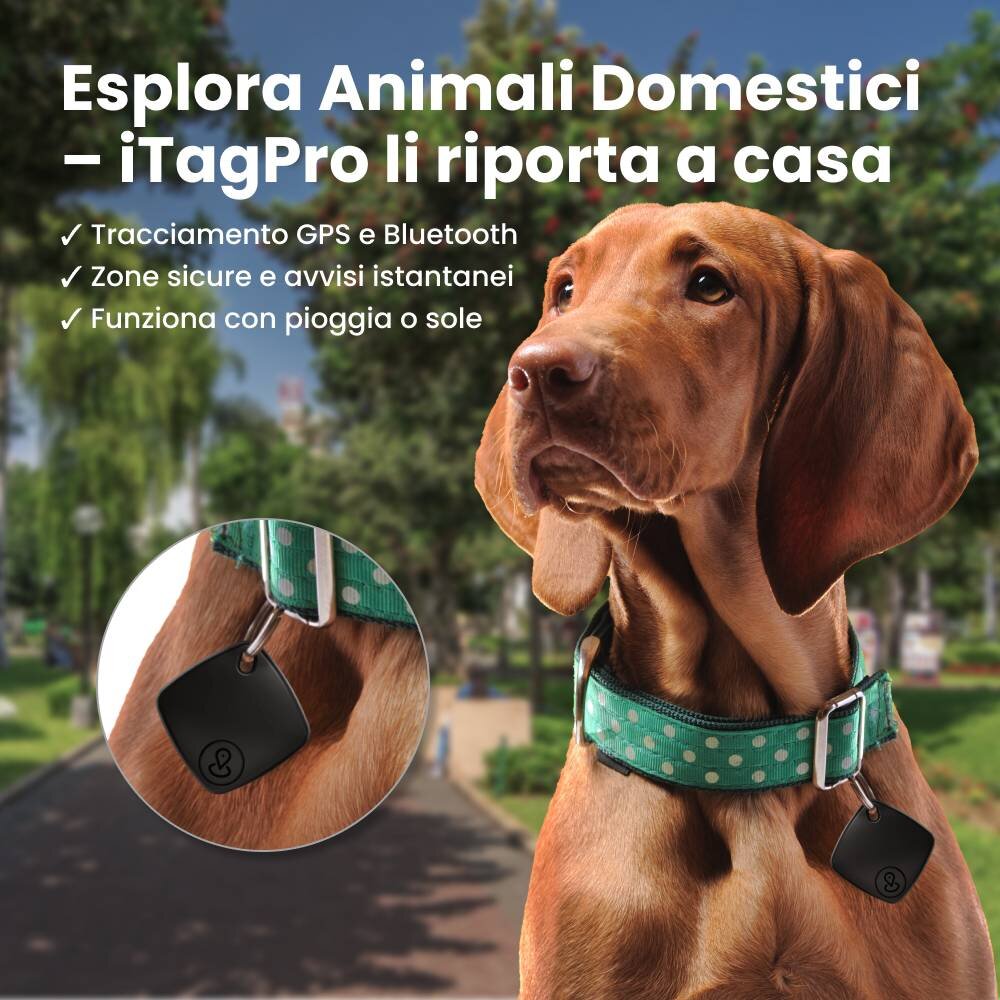 iTagPro image